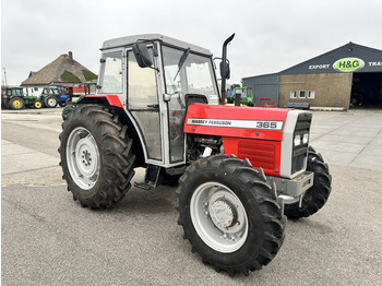 Farm tractor Massey Ferguson 365: picture 3