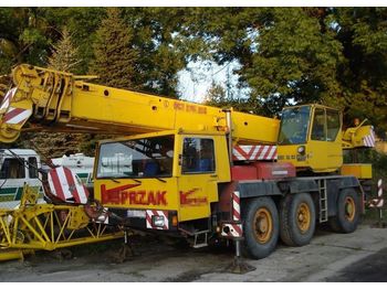 Mobile crane LIEBHERR LTM 1040 40T: picture 1