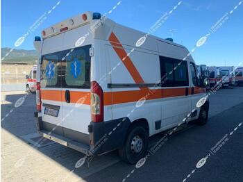 ORION srl FIAT DUCATO 250 (ID 3018) - Ambulance