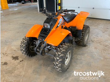 Side-by-side/ ATV Kawasaki: picture 1