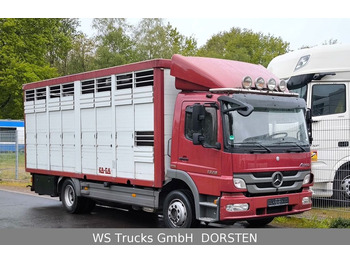 Mercedes-Benz Atego 1329  4x2  KA-BA Viehtransporter Großvieh  - Other machinery: picture 1