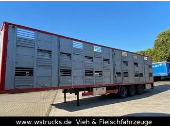 Livestock semi-trailer Menke 3 Stock   Lüfter  Vollalu Unfall: picture 1