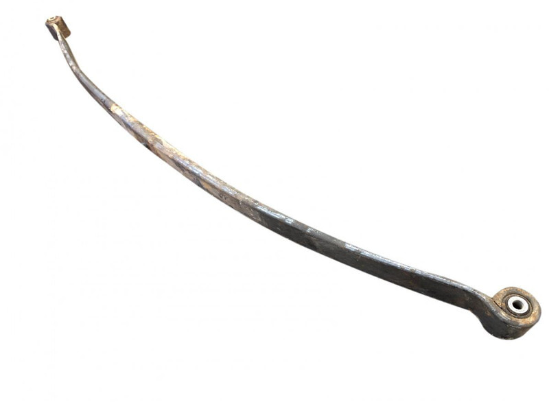Steel suspension DAF LF45 (01.01-): picture 3