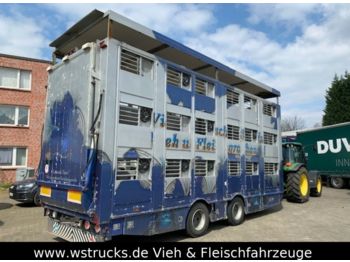 Finkl Tandem Hubdach 3 Stock  - Livestock trailer