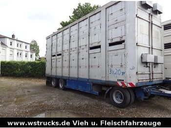 Livestock trailer Menke-Janzen Menke 2 Stock Spindel Viehanhänger: picture 1