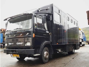 Livestock truck DAF 1100 TURBO: picture 1