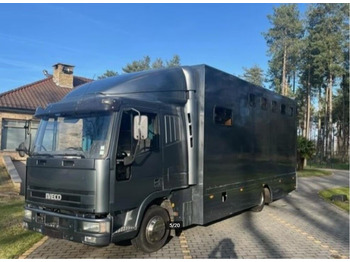 Horse truck IVECO 100E18 Horse transporter: picture 1