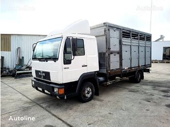 MAN 8.224 - livestock truck