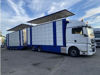 Livestock truck MAN TGX 26.480 6X2 EURO 6 - LIVESTOCK + MOVING FLOOR: picture 1
