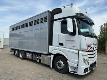 Livestock truck MERCEDES-BENZ Actros 2545