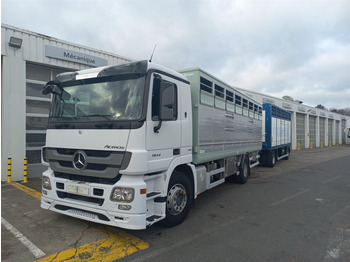 Livestock truck Mercedes-Benz Actros: picture 1