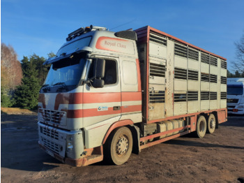 Livestock truck VOLVO FH12