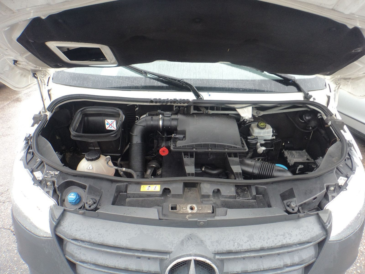 Box van Mercedes-Benz Sprinter 314 Koffer: picture 6