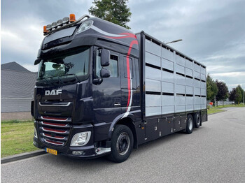 DAF XF 460 2017 berdex 3 lagen varkens - Livestock truck: picture 1
