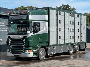 Scania R500 V8 6x2 Euro 5 4.Stock Menke Hubdach  - Livestock truck: picture 1