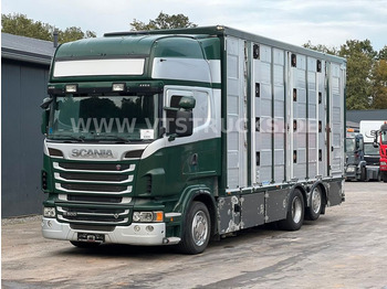 Scania R500 V8 6x2 Euro 5 3.Stock Menke Hubdach,Tränke  - Livestock truck: picture 1