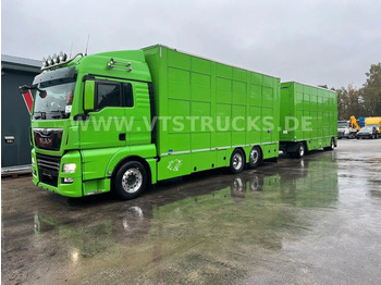 MAN TGX 26.460 6X2-4 LL 3.Stock Cuppers Komplettzug  - Livestock truck: picture 1