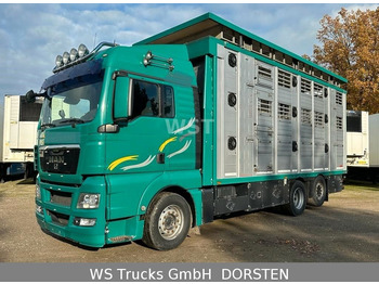 MAN TGX 26.480 LX Finkl  3 Stock Hubdach  - Livestock truck: picture 1