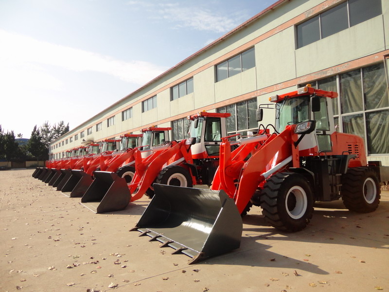 QINGDAO PROMISING INTERNATIONAL CO., LTD. - Construction machinery - Year: 2024, Euro 2, 2-axle undefined: picture 4