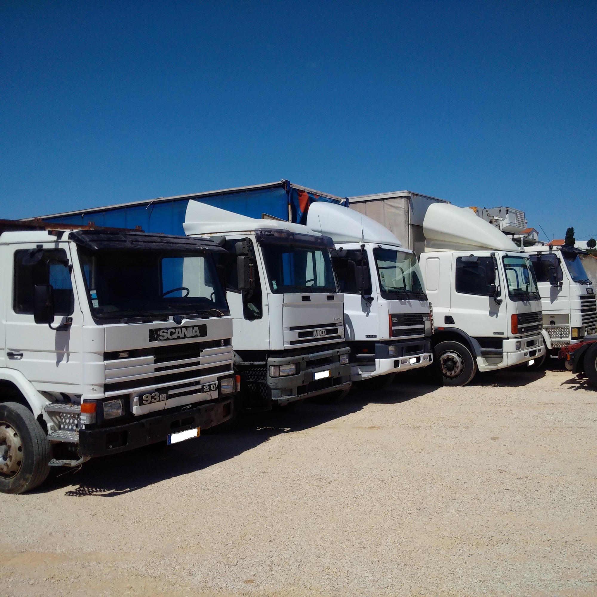 Britannia Export Consultants Limited undefined: picture 29