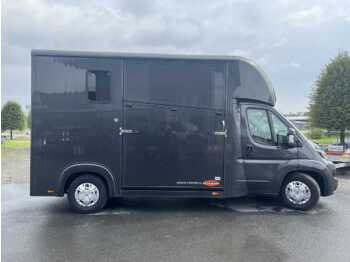 Horse truck FIAT