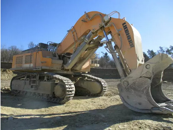 Crawler excavator 2013 Liebherr R 974 C Hochlöffel: picture 3