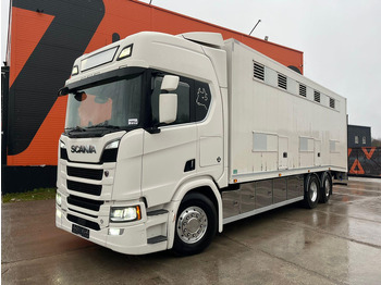 Livestock truck Scania R 580 6x2*4 RETARDER / BOX L=8168 mm: picture 2 Livestock truck Scania R 580 6x2*4 RETARDER / BOX L=8168 mm: picture 2
