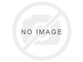 Air filter LIEBHERR
