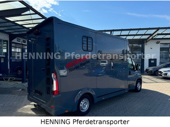Lease a Opel Movano 3 - Sitzer *AUFBAU NEU*  Opel Movano 3 - Sitzer *AUFBAU NEU*: picture 2