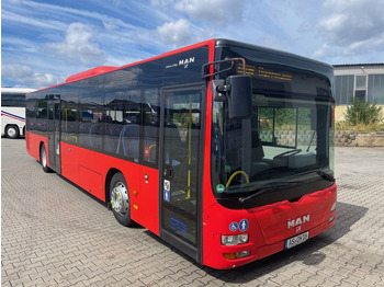 City bus MAN Lion's City A20