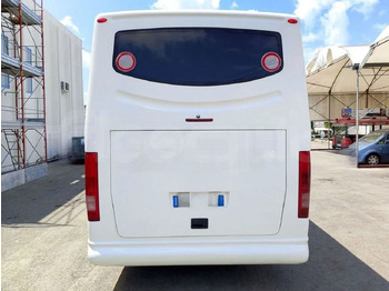 Coach Iveco Daily: picture 5
