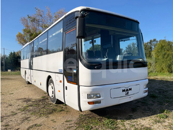Suburban bus MAN