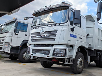 Truck for transportation of bulk materials SHACMAN Shacman Tractor Truck for Sale in Malawi: picture 4 Truck for transportation of bulk materials SHACMAN Shacman Tractor Truck for Sale in Malawi: picture 4