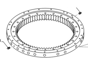 Slewing ring CASE