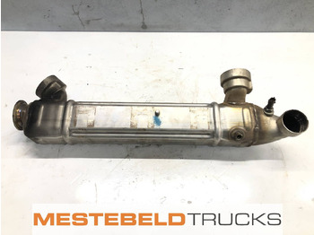 Muffler/ Exhaust system DAF