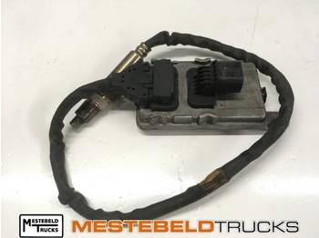 Muffler/ Exhaust system DAF