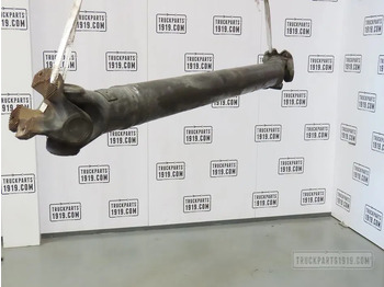 Drive shaft DAF