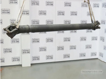 Drive shaft DAF