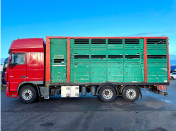 Livestock truck DAF XF 105.460 2-Stock Finkl Viehaufbau / Lenkachs: picture 5 Livestock truck DAF XF 105.460 2-Stock Finkl Viehaufbau / Lenkachs: picture 5
