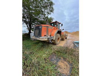 Loader Doosan DL450: picture 5