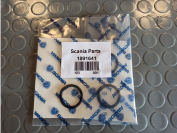 Engine gasket SCANIA