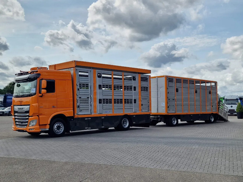 DAF XF 530 4x2 - Livestock Menke + 2018 Menke trailer 2 deck - Water + Ventilation - Lifting roof - Livestock truck: picture 3 DAF XF 530 4x2 - Livestock Menke + 2018 Menke trailer 2 deck - Water + Ventilation - Lifting roof - Livestock truck: picture 3