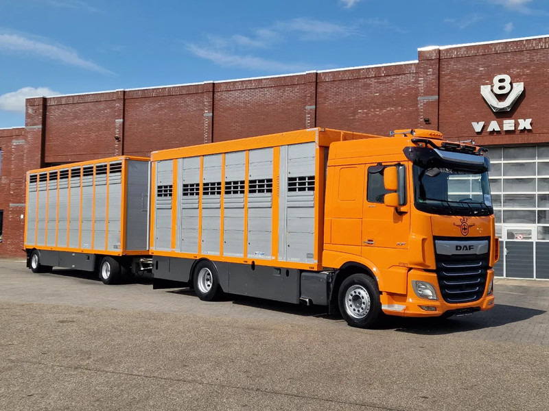 DAF XF 530 4x2 - Livestock Menke + 2018 Menke trailer 2 deck - Water + Ventilation - Lifting roof - Livestock truck: picture 2 DAF XF 530 4x2 - Livestock Menke + 2018 Menke trailer 2 deck - Water + Ventilation - Lifting roof - Livestock truck: picture 2