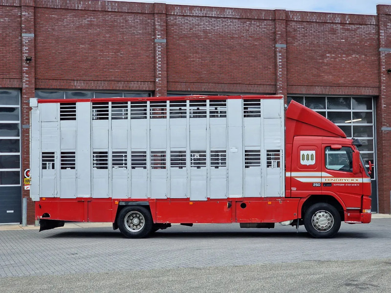 Livestock truck Volvo FM 250 4x- Livestock 2 deck - Lifting floors - Loadlift - Manual gearbox: picture 11