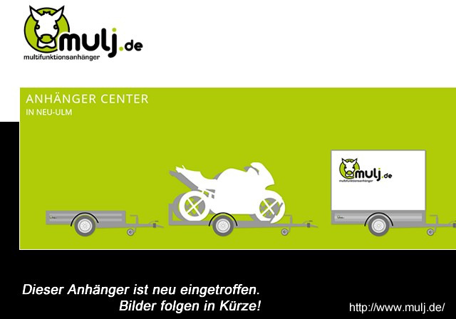 Humbaur HT 203116 Hochlader 2,0 to. 3100 x 1650 x 300 mm - Car trailer: picture 1 Humbaur HT 203116 Hochlader 2,0 to. 3100 x 1650 x 300 mm - Car trailer: picture 1