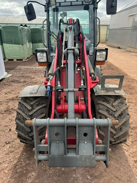 Weidemann 1280 - Telescopic handler: picture 1 Weidemann 1280 - Telescopic handler: picture 1
