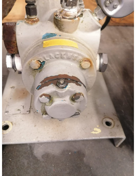 Blackmer Used LGL1PD Pump Gas, Gaz, LPG, GPL, Propane, Butane Gas, Gaz, LPG, GPL, Propane, Butane - Water pump: picture 3 Blackmer Used LGL1PD Pump Gas, Gaz, LPG, GPL, Propane, Butane Gas, Gaz, LPG, GPL, Propane, Butane - Water pump: picture 3