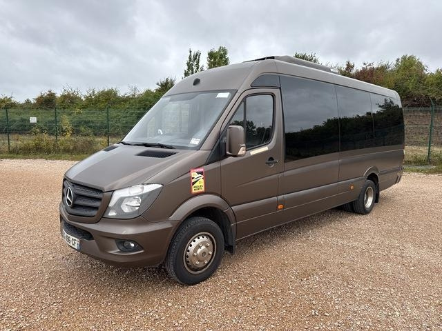 Mercedes-Benz 516 Integralia Tattoo - Minibus, Passenger van: picture 1 Mercedes-Benz 516 Integralia Tattoo - Minibus, Passenger van: picture 1