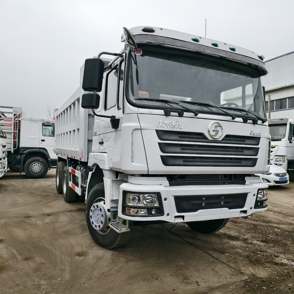 SHACMAN F3000 6*4 8*4 WITH AIR SUSPENSION - Tipper: picture 1 SHACMAN F3000 6*4 8*4 WITH AIR SUSPENSION - Tipper: picture 1