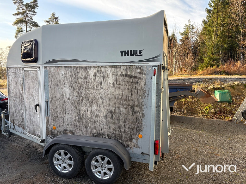 Hästtransport - Thule 150 E5 - Horse trailer: picture 2 Hästtransport - Thule 150 E5 - Horse trailer: picture 2